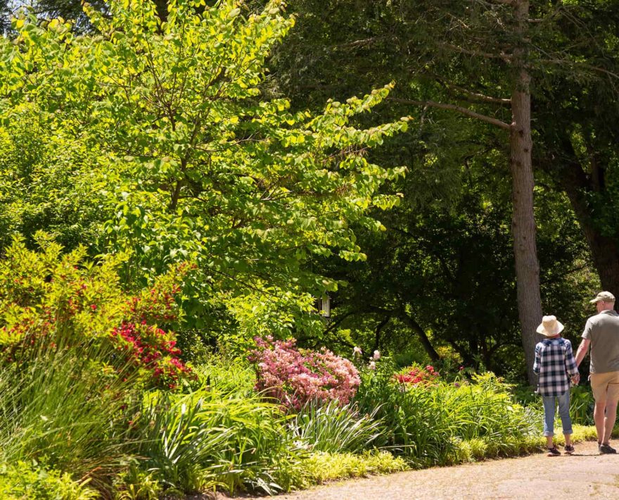 couple walking on a trail through gardens
